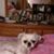 Mindy Buchtel's profile image