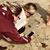 Cindy Lyn Stone Landreth's profile image