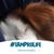 Ann Lamonds's profile image
