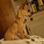 Kellie Bradford's profile image