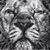 Scott Reeder's profile image