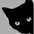 Lynn Sullivan's profile image