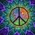 Arlene Marrocco's profile image