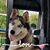 Linda Blain Saunders's profile image