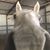 Traci Simkin's profile image