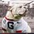 John Simeon Phillips's profile image