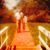 Tara Stange's profile image