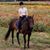 Cindy Elkins Bigham's profile image