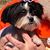 Brenda Lovett-Kramer's profile image