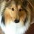 Michele Diane Moller's profile image