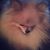 Lucy Reisinger's profile image