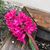 Mary Dinon's profile image