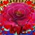 John Smith's profile image