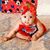 Terri Mack's profile image