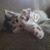 Cynthia Finkbeiner Glazier's profile image
