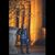 Ilse Kat Kreisel's profile image