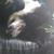 Brad Melby's profile image