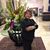 Nella Watanabe Ponce's profile image