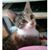Lisa Lisa Infantes's profile image