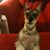 Jerre Shultz's profile image