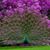 Monica Tamplain Usry's profile image
