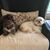 Kerri Sneden's profile image