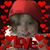 Christopher R Dohse's profile image