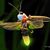 Kristina Plaas's profile image