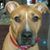 Darlene Trudeau's profile image