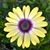 Jennifer Hale Underwood's profile image