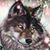 Brenda Alvarez's profile image
