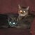 Christie Wantz Enicks's profile image