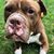 Cheryl Hammons Delmar's profile image