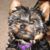 Charles Julie Velky's profile image
