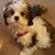Debbie Pratt's profile image