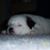 Robert Dilworth's profile image