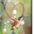 Shawna Harris Rocha's profile image
