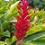 Deb Borland Reed's profile image