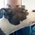 Michael Richey's profile image