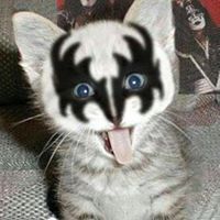 Jennifer M Duncan's profile image