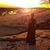 Lisa Speake's profile image