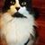 Cindy Sanderson-Bastien's profile image