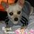 Amie Cook-elmore's profile image