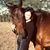 Leah Perkins's profile image