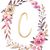 Carol Diamond's profile image