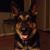 JoAnn Amato's profile image