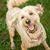 Pam Wilson's profile image