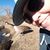 Andrea Travers's profile image