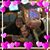 Cathy Jordan Fryar's profile image