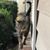 Alison Davis-Carchedi's profile image